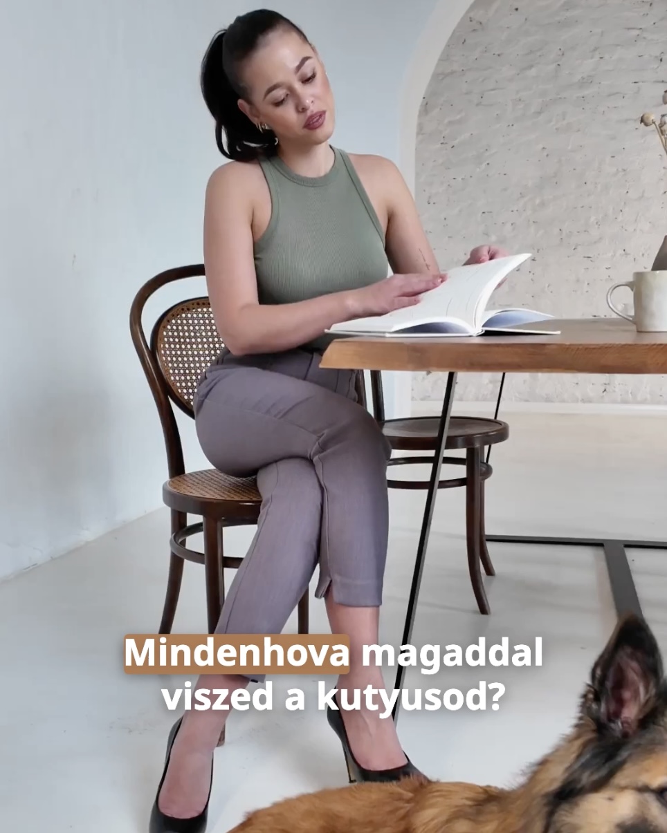 TRAVEL hordozható kutyafekhely, sötétszürke